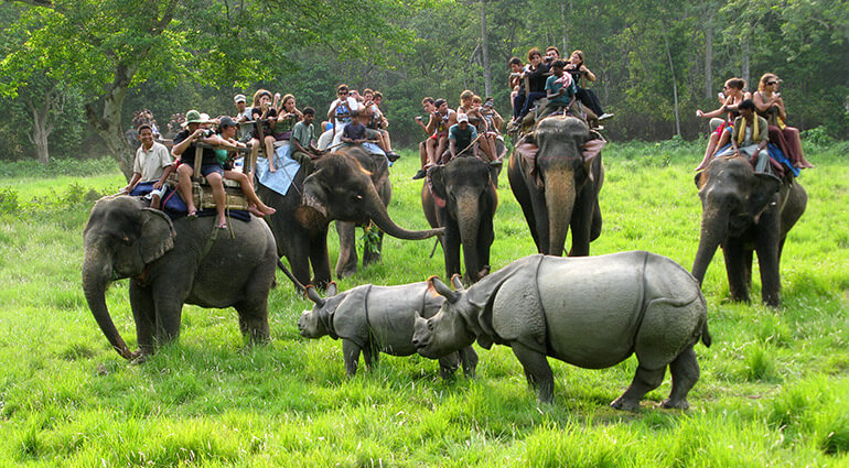 Kathmandu Pokhara Chitwan Tour